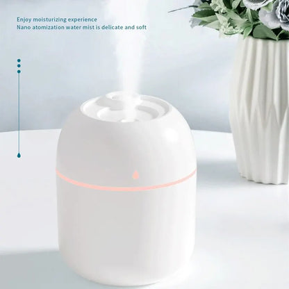 Mini Car Humidifier